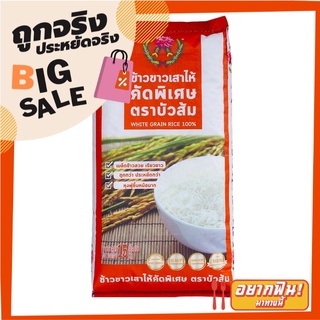 บัวส้ม ข้าวขาวเสาไห้ 15 กิโลกรัม X 1 ถุง Bua Som White Rice 100% 15 kg X1