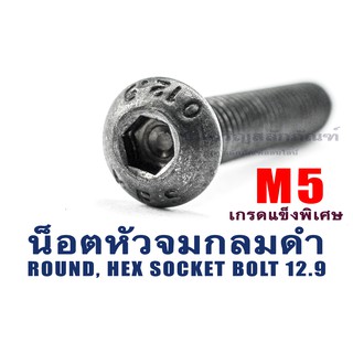 น็อตหัวจมกลมดำ ขนาด M5 ความยาว 6 8 10 12 15 20 25 น็อตหัวจมดำ น็อตหัวกลมดำ ประแจแอลขัน สแตนเลส (แพ็คละ 3 ตัว)