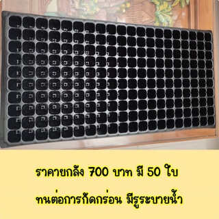 ถาดเพาะชำ 60/104/200หลุม