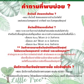 สวนขวด DIY ชุดจัดสวน ไซต์ S เบสิค ราคา 189 บาท มีสินค้าพร้อมส่ง