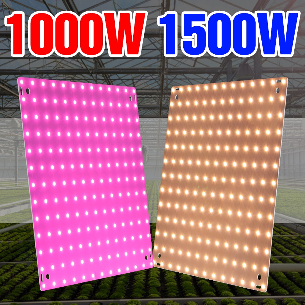 โคมไฟควอนตัม LED 1000W AC110V 1500W 220V สําหรับปลูกพืชในร่ม เรือนกระจก