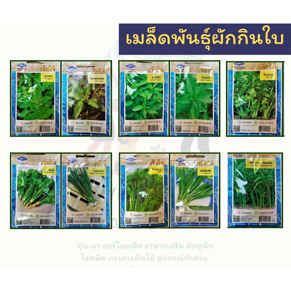 เมล็ดพันธุ์ผักกินใบ เมล็ดผักสวนครัว ราคาถูก 8 บาททุกซอง ตราเจียไต๋ ตราสามเอ ตราศรแดง ตราภูเขาทอง ตราสี่ทิศ