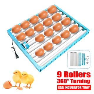  360° ถาดฟักไข่ไก่อัตโนมัติ AC 220V หมุนได้ 360 องศา สําหรับฟาร์มไก่