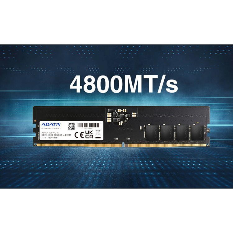 ADATA RAM LONGDIMM DDR5 8GB 4800MHZ