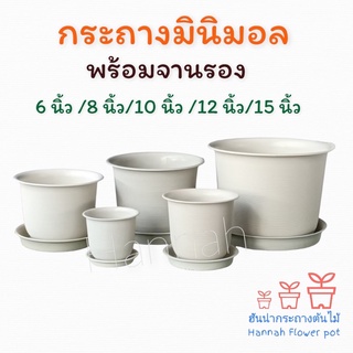 แหล่งขายและราคากระถางต้นไม้ รุ่นจัมโบ้ มีขนาดตั้งแต่ 6\" 8\" 10\" 12\" 15\" Plant pot  Model Jombo Available in sizes 6\" 8\" 10\" 12\" 15\"อาจถูกใจคุณ