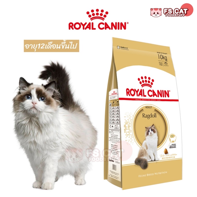 พร้อมส่ง💓| 2kg. Royalcanin Ragdoll โรยัลคานินสูตรแมวสายพันธุ์แร็กดอลล์