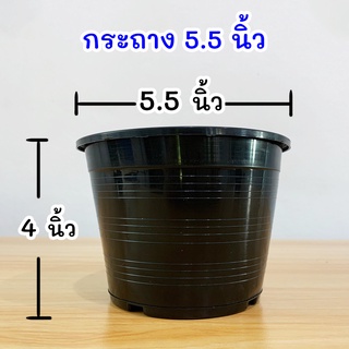 แพค 20 ใบ กระถาง 5.5 นิ้ว กระถางต้นไม้ แคคตัส