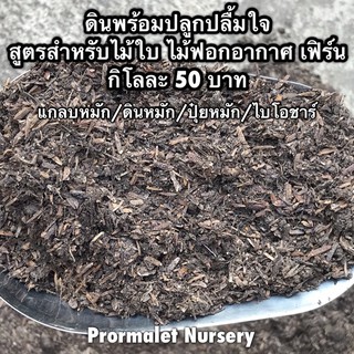 ดินปลูกไม้ใบ ไม้ฟอกอากาศ และเฟิร์น ราคากิโลละ 50บาท