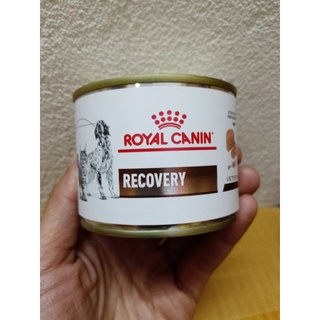 Royal Canin Recovery 195g. อาหารเปียกสำหรับสุนัข-แมวป่วย หลังผ่าตัด