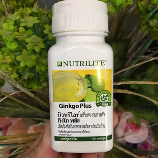 กิงโก พลัส แอมเวย์ Ginkgo plus amway 100 เม็ด✅ ของแท้ของใหม่ฉลากไทย✅