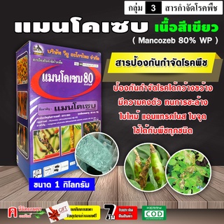 กล่องม่วง-แมนโคเซบ ( เนื้อสีเขียว )( 1 กิโลกรัม ) แมนโคเซป สารป้องกัน-กำจัดเชื้อรา โรคพืชต่าง ๆ ได้มากมาย มีความคงตัว