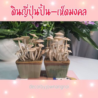 ดินปั้นเห็ดมงคล งานฝีมือ handmade กระถางเหลี่ยม