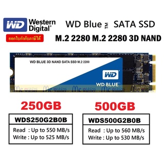 👍🔥⚡💥ราคาแรงส์ 9.9🔥⚡💥250GB | 500GB SSD (เอสเอสดี) WD BLUE SATA M.2 2280 3D NAND ประกัน 5 ปี