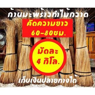 ก้านทางมะพร้าวทำไม้กวาด ยาว 60ซม ถึง 80ซม 4 กิโลกรัม ก้านเหลาใหม่ ไม่ผุ ไม่ชื้น ไม่ขึ้นรา เก็บเงินปลายทางได้