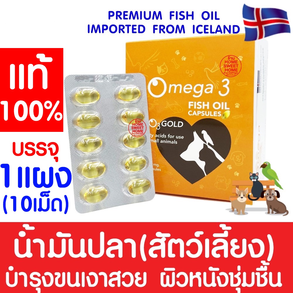 *โค้ดส่งฟรี* โอทรีโกลด์ O3gold น้ำมันปลา (1แผง) O3 gold วิตามิน บำรุงผิว บำรุงขน แก้ขนร่วง สุนัข แมว