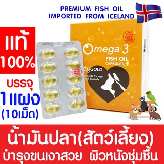 *โค้ดส่งฟรี* โอทรีโกลด์ O3gold น้ำมันปลา (1แผง) O3 gold วิตามิน บำรุงผิว บำรุงขน แก้ขนร่วง สุนัข แมว นก หมา Fish oil