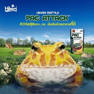 🐸อาหารกบ Hikari Pac Attack กบฮอร์นฟรอกแบรนด์ชั้นนำระดับโลก 40g