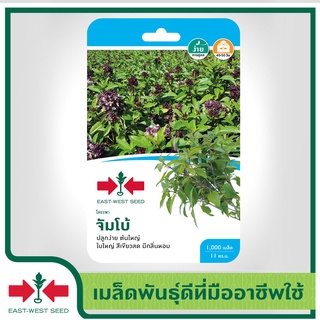 East-West Seed เมล็ดพันธุ์โหระพา (Sweet Basil seeds) จัมโบ้ เมล็ดพันธุ์ผัก （นี่มันเมล็ดพืช ไม่ใช่พืช!）