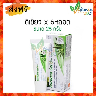 แท้100% (แพค 6 หลอด) Burnova Gel Plus เบอร์นโนว่า เจล พลัส เจลว่านหางจระเข้ 99.5% ให้ความชุ่มชื้น เหมาะกับคนเป็นสิว 25g