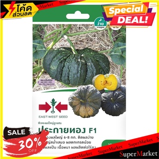 ฟักทองผลใหญ่ลูกผสม F1 ประกายทอง ศรแดง เมล็ดพันธุ์ HYBRID PUMPKIN SEED F1 SORNDAENG PRAKAITHONG ต้นไม้และเมล็ดพันธุ์