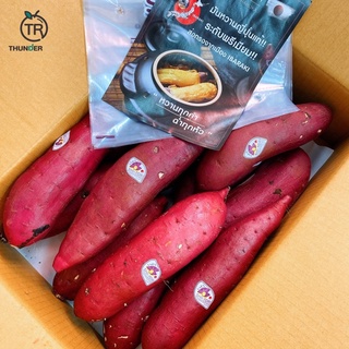 ราคาสินค้าเข้าใหม่‼️Japanese Sweet Potato 🍠🇯🇵 มันหวานนำเข้าจากประเทศญี่ปุ่น แบรนด์ SHI-TORI ✈️