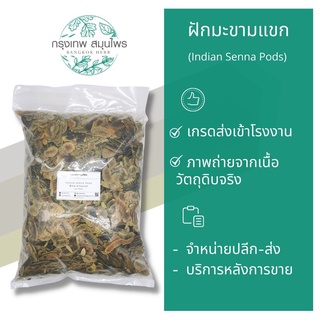 ฝักมะขามแขกอบแห้ง 1 กิโลกรัม ฝักมะขามแขก Indian Senna pods