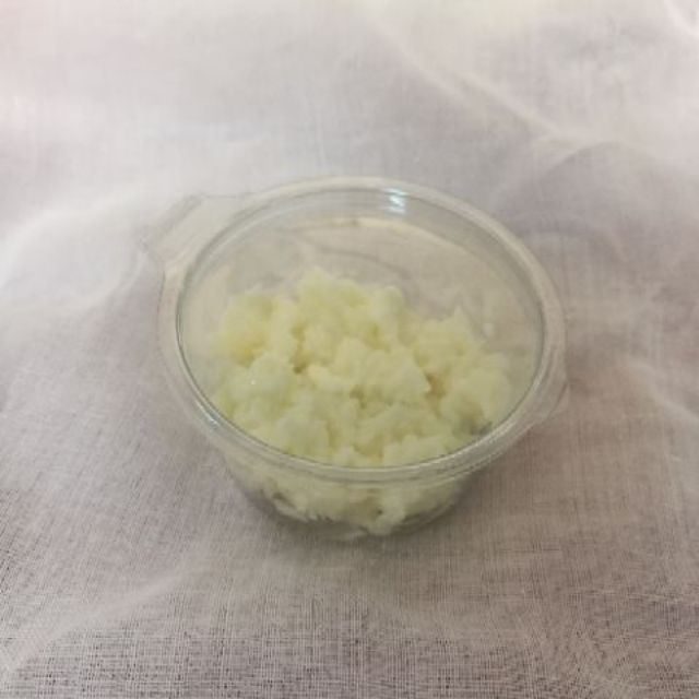 หัวเชื้อคีเฟอร์ Kefir grains (บัวหิมะทิเบต)