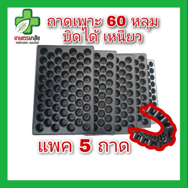 (แพค5) ถาดเพาะชำ ถาดเพาะ 60 หลุม เหนียว งอบิดได้ เกรดเอ