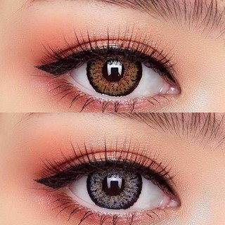 Hale 3 Tone Gray / Hale 3Tone Brown / Hale3Tone Gray / Hale3Tone Brown บิ๊กอาย สีเทา เทา สีน้ำตาล น้ำตาล Wink Lens Halen