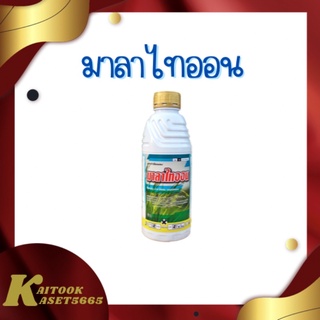 มาลาไทออน 1 ลิตร ยาเย็น ป้องกันและกำจัด เพลี้ยไฟ ไรแดง เพลี้ยไก่แจ้ แมลงหวี่ขาว