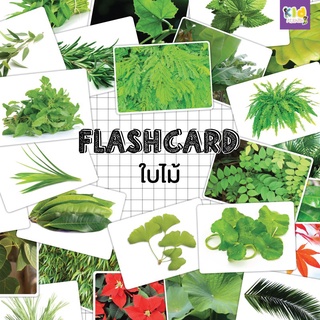 Flash card ใบไม้ (leaf) จำนวน 25 ใบ ขนาด A5