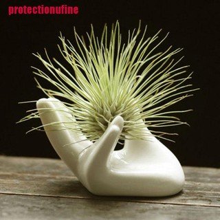 [protectionufine] เครื่องเซรามิก รูปมือ สีขาว สำหรับตกแต่ง/วางต้นทิลแลนเซีย