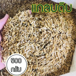 แกลบดิบ 🍀 แกลบข้าว 500กรัม ผสมวัสดุปลูกต่างๆ