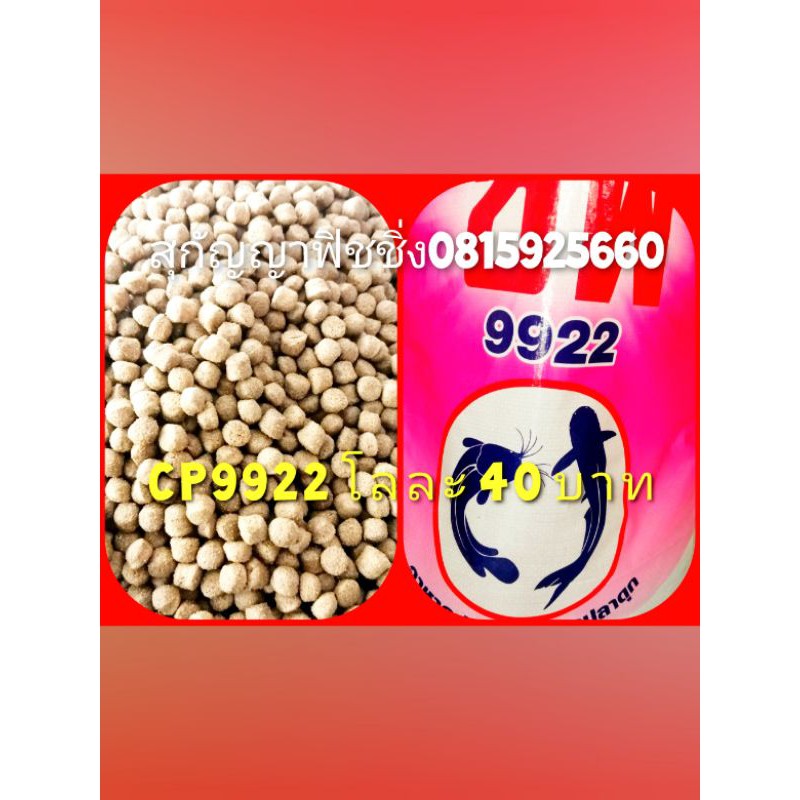 หัว​อาหาร​ปลา​CP9922ร้าน​สุกัญญา​ฟิชชิ่ง​อุดรธานี​0815925660​