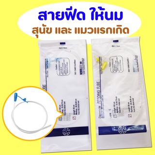 สายให้นม อาหาร สำหรับสัตว์เลี้ยง NG disposable feeding tube เบอร์ 5 6 8 ขนาด 50 เซนติเมตร