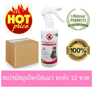 ไล่แมว (ยกลัง 12 ขวด) SAMUNPINEสเปรย์สมุนไพร ไล่แมว ขนาด 250 ml. / Anti Cat Herbal Spray 250 ml.