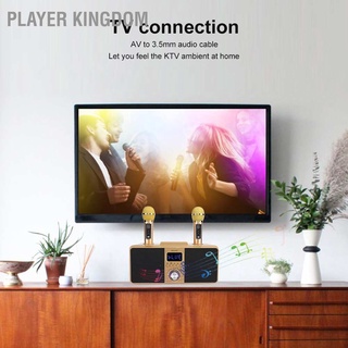 Player kingdom Family KTV High Quality Sound Kit Integrated Wireless Microphone Live Audio Card Bluetooth Karaoke Speaker