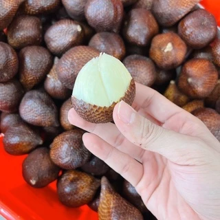 #สละอินโดนิเซีย นำเข้าแท้ 100% อร่อยเกินต้าน สั่งเลย‼️