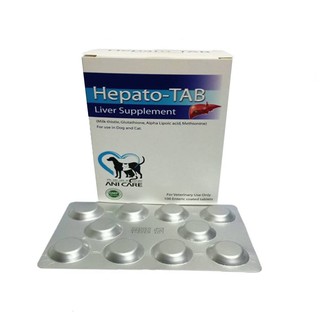 Hepato Tab บรรจุ 100เม็ด วิตามินบำรุงตับสำหรับสุนัขและแมว