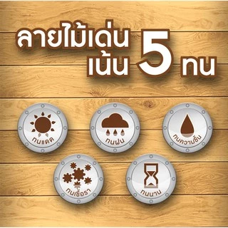วูดเทค เดคกิ้งสเตน สีย้อมไม้ สีทาพื้นไม้ สูตรน้ำมัน ชนิดด้าน ทนแดด ทนฝน WOODTECT DeckingStain Matt SB