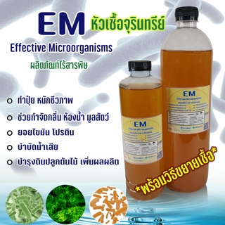 EM อีเอ็ม หัวเชื้อจุลินทรีย์ (พร้อมวิธีขยายเชื้อ) หมักปุ๋ย ด…