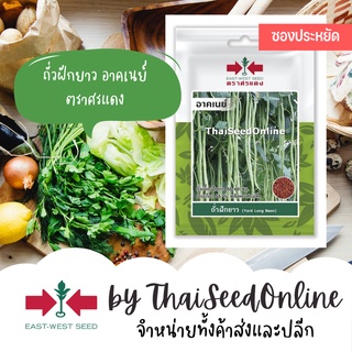 VP3 ซฟ เมล็ดพันธุ์ ถั่วฝักยาว อาคเนย์ 60เมล็ด ตราศรแดง ซอง 10บาท Long Yard Bean ถั่วเนื้อ