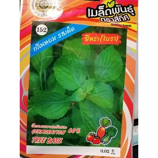 เมล็ดยี่หร่า (ใบรา) 10 แถม 1 คละได้  เมล็กผัก เมล็ดพันธุ์