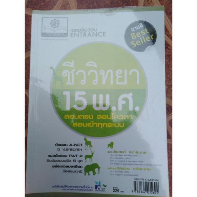 My Image 38