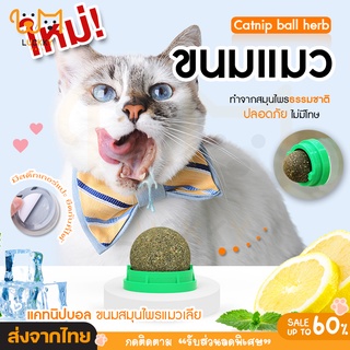 [พร้อมส่ง] ของเล่น ของเล่นแมว Catnip กัญชาแมว ออร์แกนิค ลูกบอลแมว แคทนิป ของเล่นแมว บอลcatnip แบบเลีย