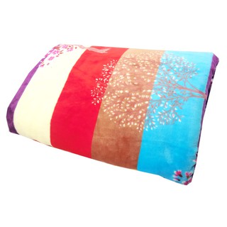 bb032-ผ้าห่มลายพุ่มไม้ - พื้นลาย 4 สี 200 x 230 cm (แบบหนา)