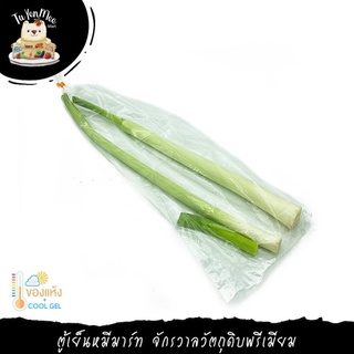 250G/PACK ต้นกระเทียมญี่ปุ่น JAPANESE LEEK (D / F)