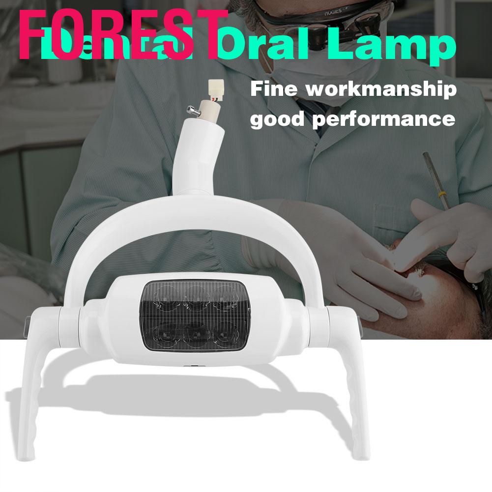 (Ready Stock) Foreststore เครื่องมือทางการแพทย์ส่องไฟช่องปากแบบ LED 6 ดวง AC 12V 6000K