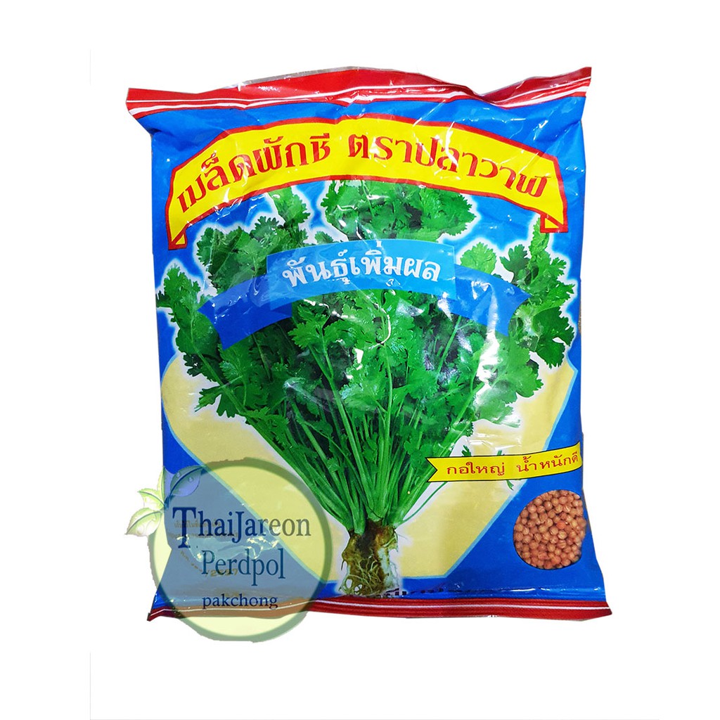 เมล็ดผักชี เพิ่มผล 300g ตราปลาวาฬ กอแน่น ใบใหญ่