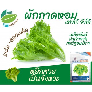 ผักกาดหอม ~800 เมล็ด (Lettuce​ Leaf Tango)​ ผักสลัด